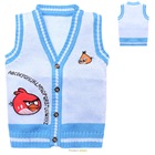 เสื้อกั๊กกันหนาว-Angry-Birds-ไหมพรม-สีโทนฟ้า