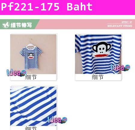 เสื้อแขนสั้นลายขวาง Paul Fank นุ่มนิ่ม สีน้ำเงิน