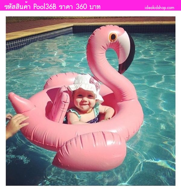 ǧҧẺʹ Baby Flamingo ժ