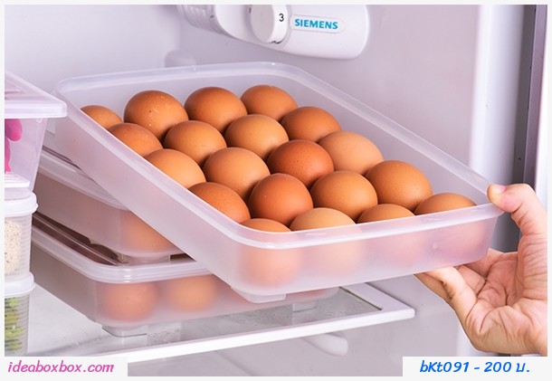 กล่องพลาสติกเก็บไข่ไก่ 20 ช่อง สีขาว