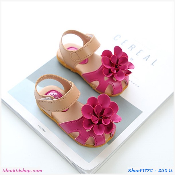 ͧѴ Sandal Flower ͡ պҹ