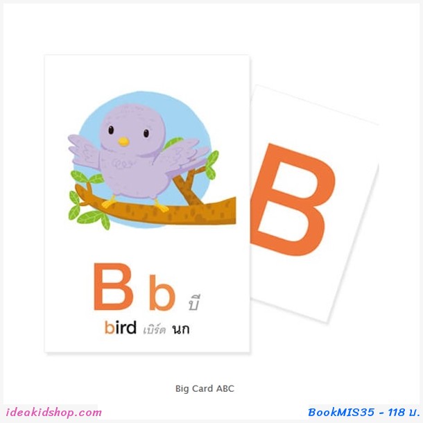 Big Card ABC (Ū촢Ҵ˭)