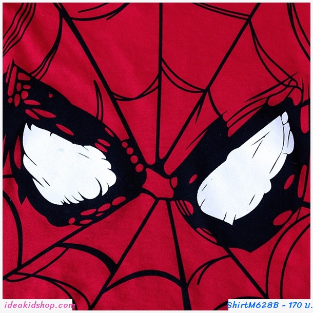 ״  Spiderman ᴧ