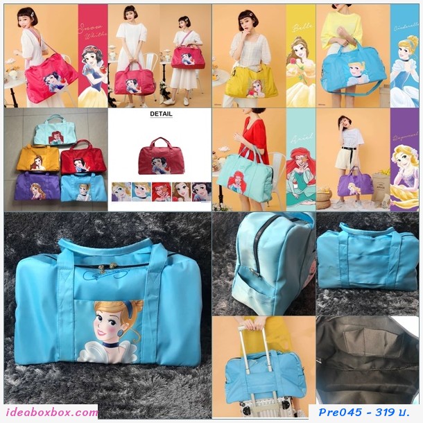 Pre ˭ԧTravel Carry Bag  Cinderella