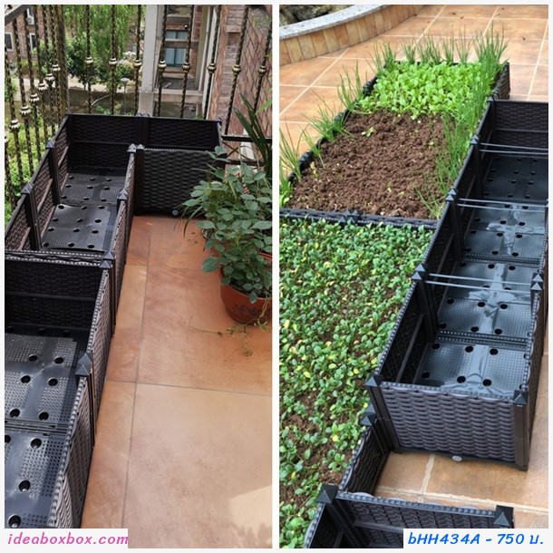 กระบะปลูกผัก Balcony vegetable planting box(2ช่อง)