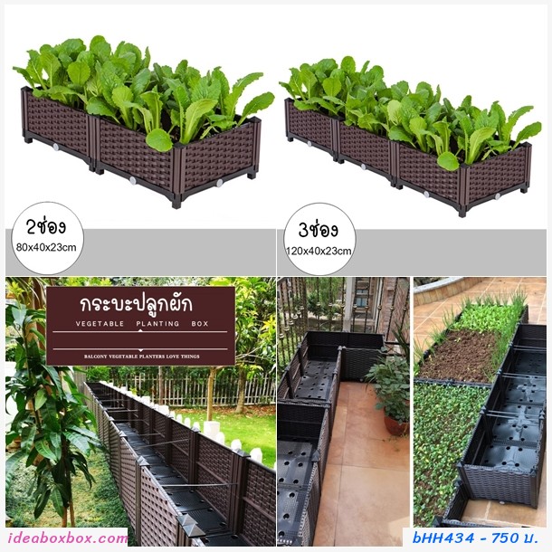 กระบะปลูกผัก Balcony vegetable planting box(2ช่อง)