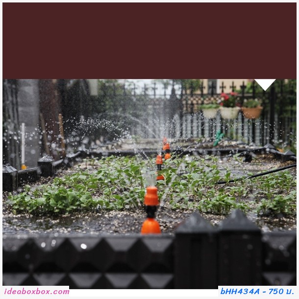 กระบะปลูกผัก Balcony vegetable planting box(2ช่อง)