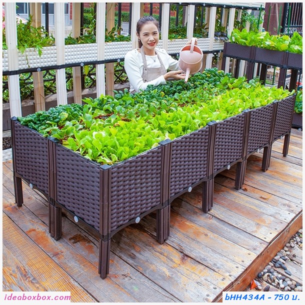 กระบะปลูกผัก Balcony vegetable planting box(2ช่อง)