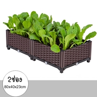 กระบะปลูกผัก-Balcony-vegetable-planting-box(2ช่อง)