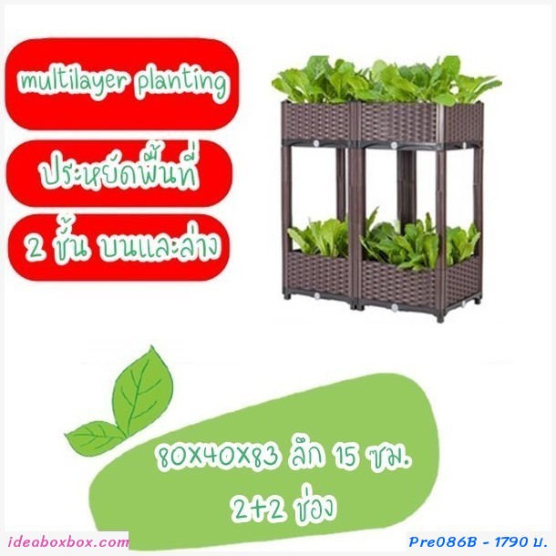 кл١ѡ vegetable box Multi Layer(2+2)