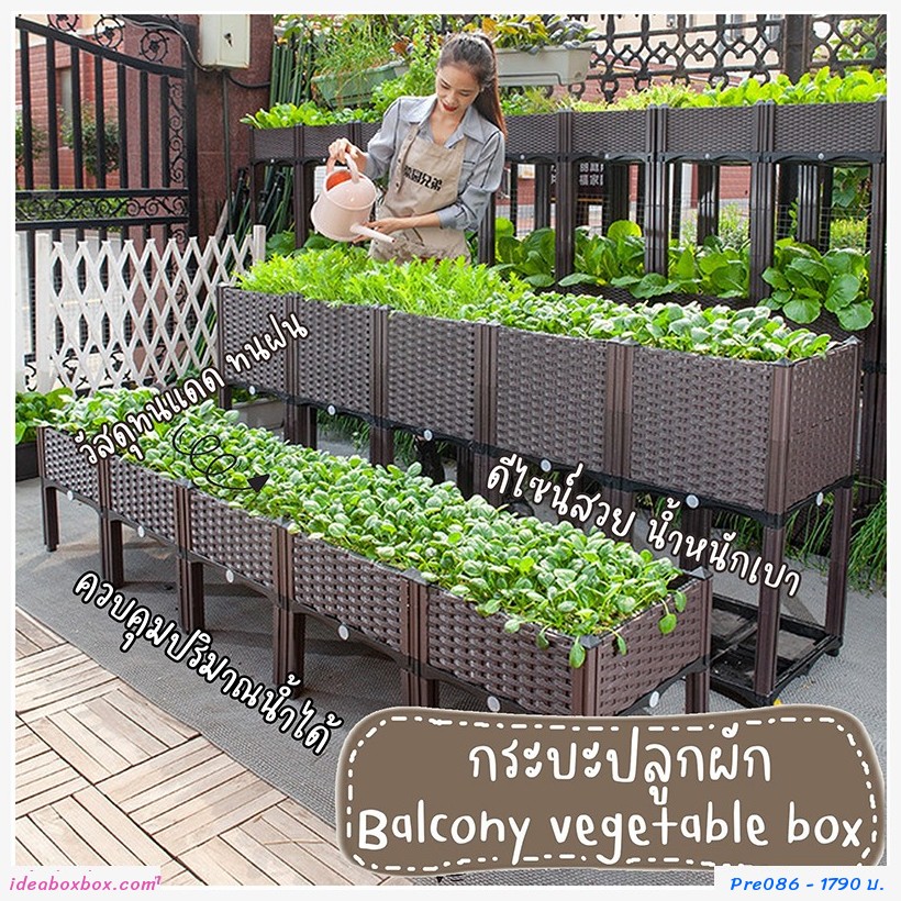 кл١ѡ vegetable box Multi Layer(2+2)