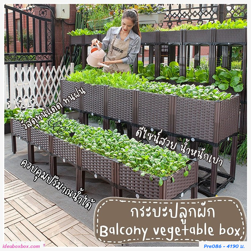 кл١ѡ vegetable box Multi Layer(5+5)