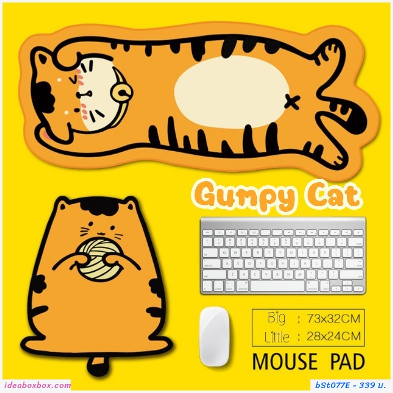 ͧ ͧ Gumpy Cat( 2 )