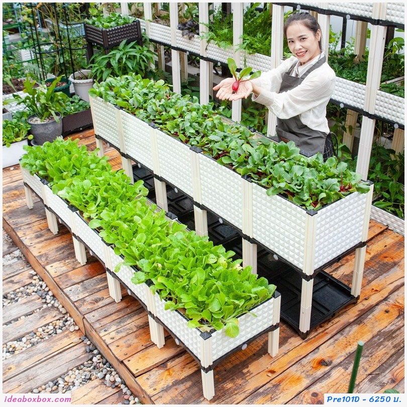кл١ѡ Balcony vegetable box úش 10 ͧ բ