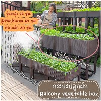กระบะปลูกผัก-Balcony-vegetable-box-3-ช่องมีขา-30-ซม-พร้อมฐาน