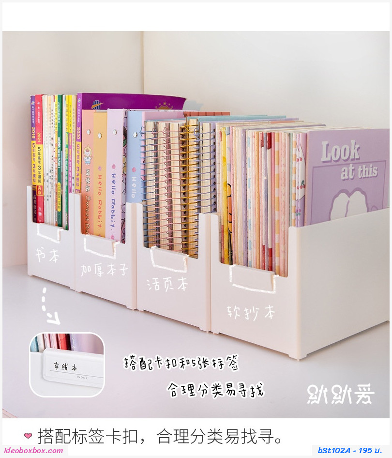 ͧѴº Cute Storage Box  M(ʵԡ)
