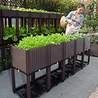 กระบะปลูกผัก-Balcony-box-แบบลึก-30-ซม.(5-ช่อง-ขา-30-cm-พร้อมฐาน)