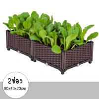 กระบะปลูกผัก-Balcony-vegetable-box(2-ช่อง)