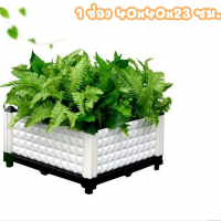กระบะปลูกผัก-Balcony-vegetable-box(1-ช่อง)-White
